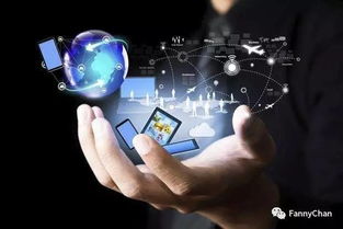 物聯(lián)網(wǎng)時代 第二類增值電信業(yè)務的創(chuàng)業(yè)新機遇