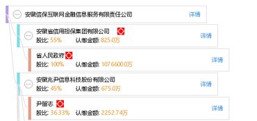 安徽信保互聯(lián)網(wǎng)金融信息服務(wù)有限責任公司 深耕互聯(lián)網(wǎng)信息服務(wù)，賦能區(qū)域金融創(chuàng)新